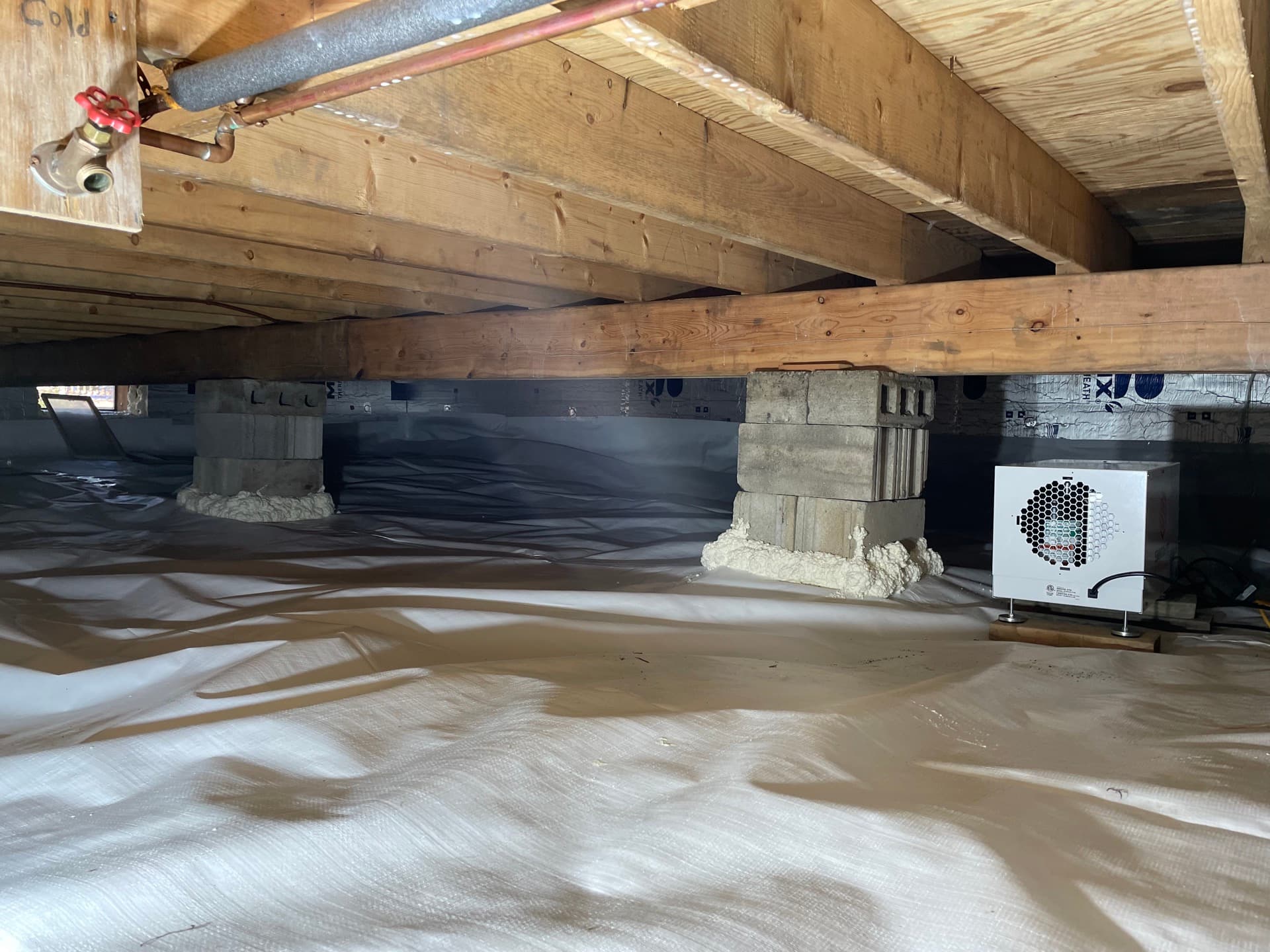 Crawlspace project 6