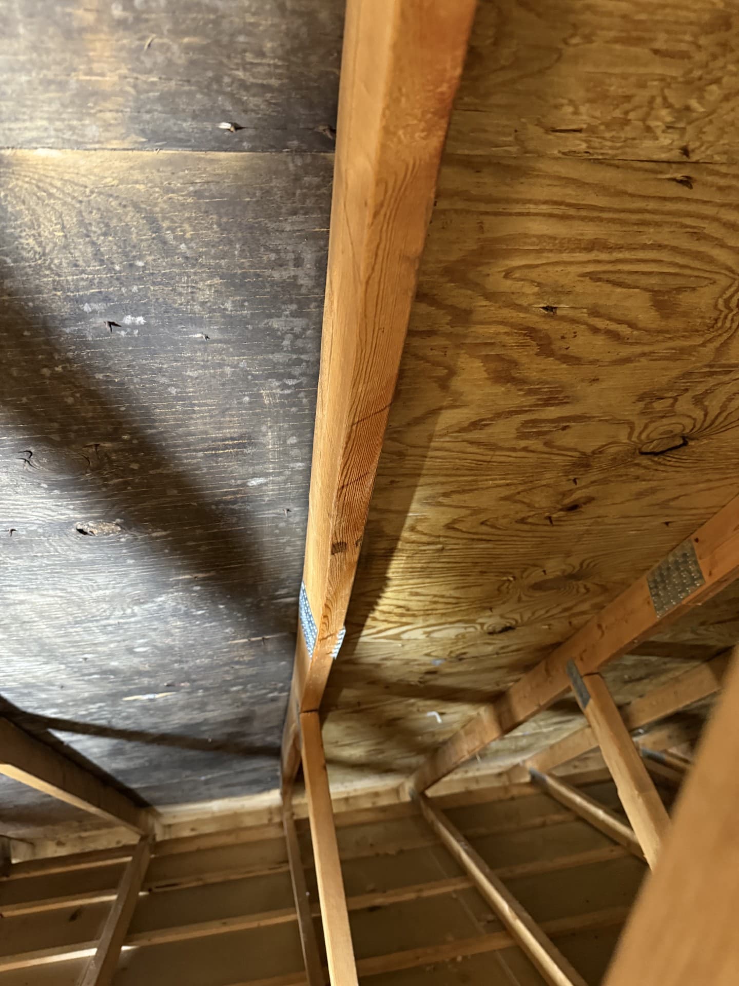 Mold growth on attic sheathing before remediation by Nason's Home Solutions