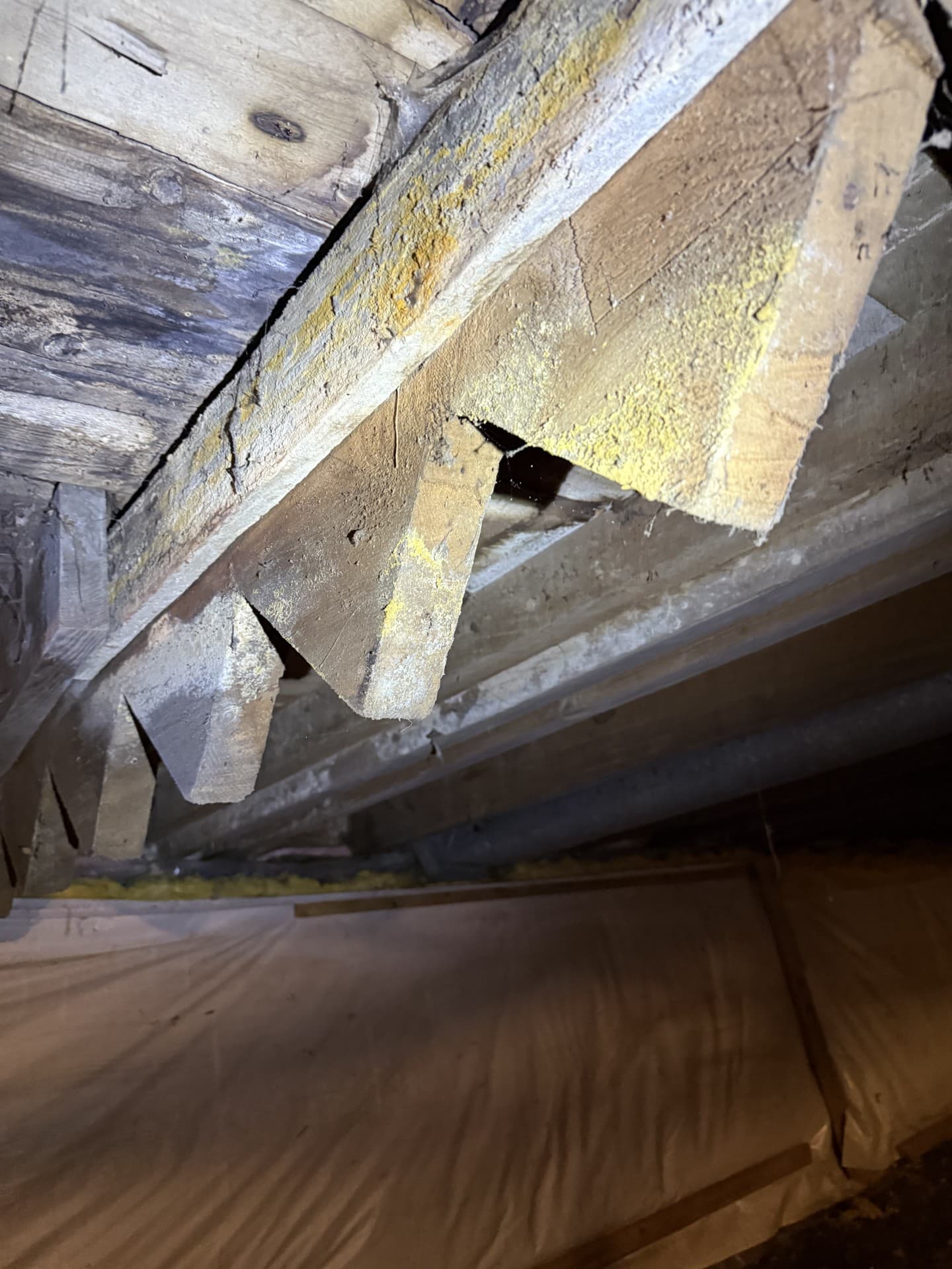 Mold project 2