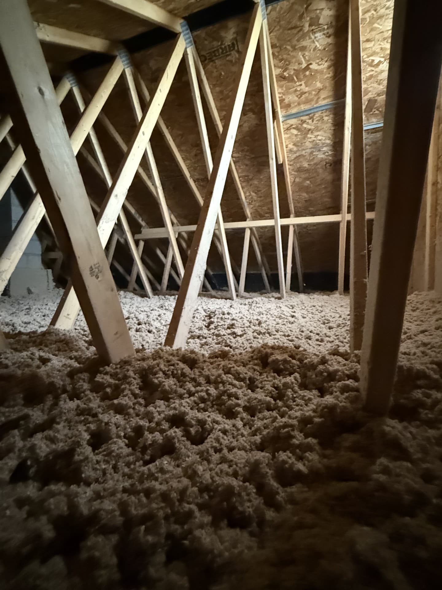 Blown-In Cellulose